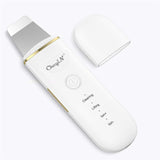 Ion ultrasonic skin cleanser