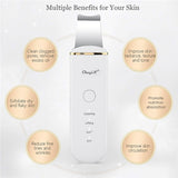 Ion ultrasonic skin cleanser