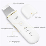 Ion ultrasonic skin cleanser